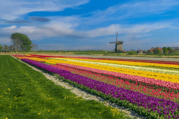 Amsterdam Holiday