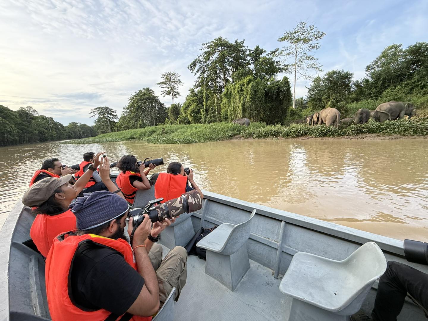 Borneo Holiday