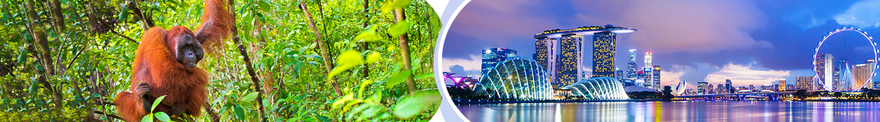 Contrasting Asia: An 8-Night Singapore & Borneo Adventure