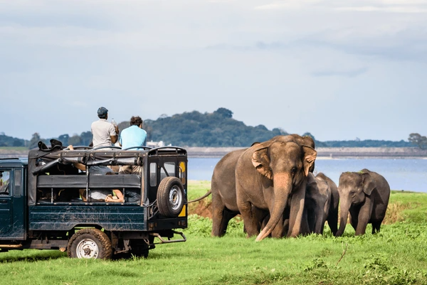 Sri Lanka Wildlife Holiday