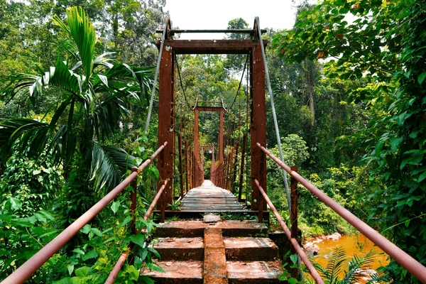 Sri Lanka Wildlife Holiday