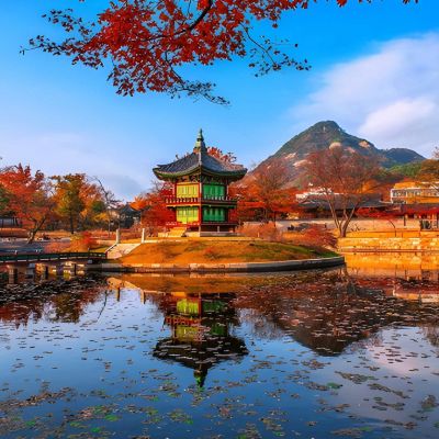 Seoul & Busan Discovery: 7-Night South Korea Vacation