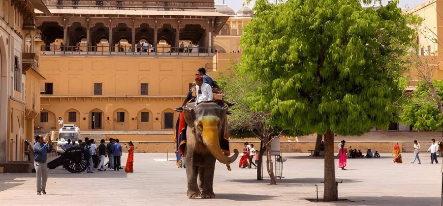 Jaipur Holiday