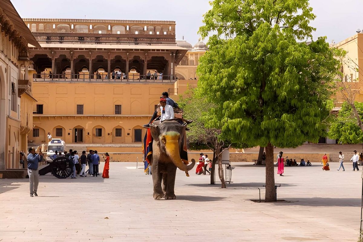 Jaipur Holiday
