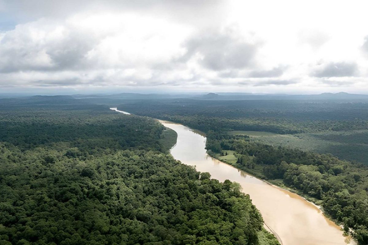 Kinabatangan