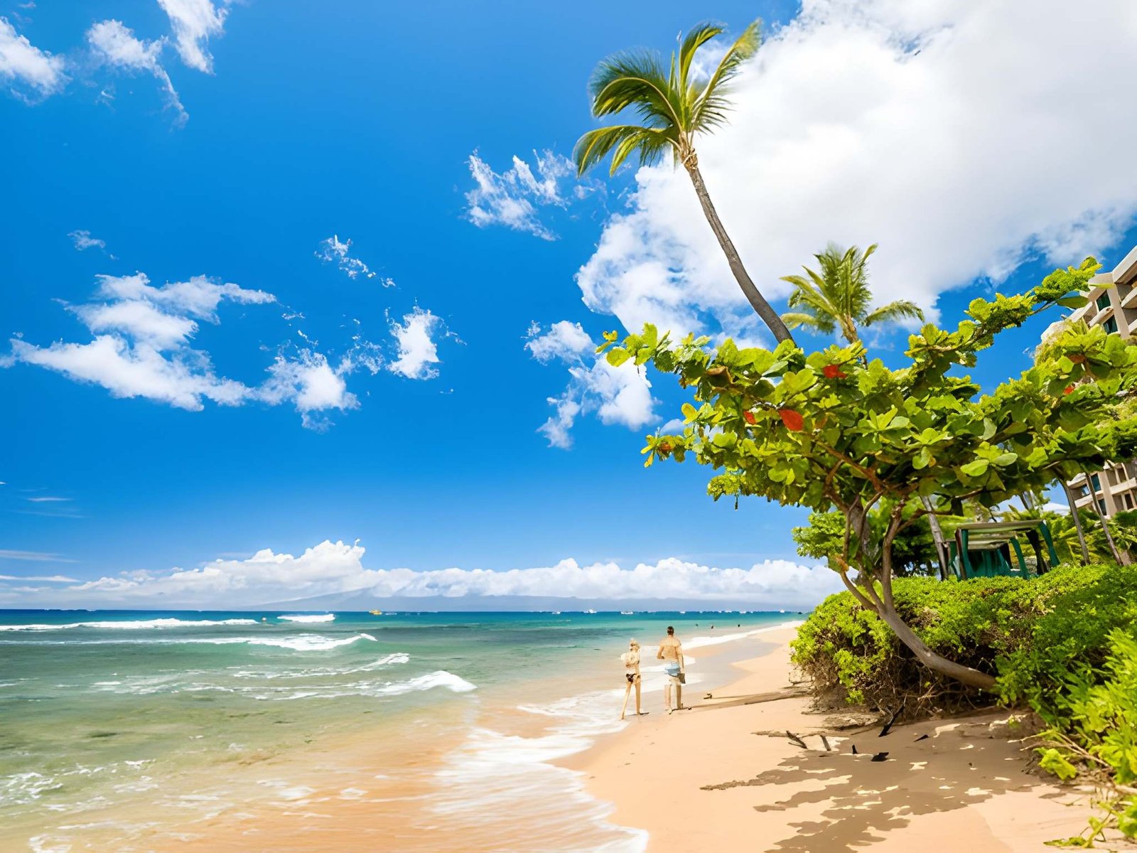 Maui