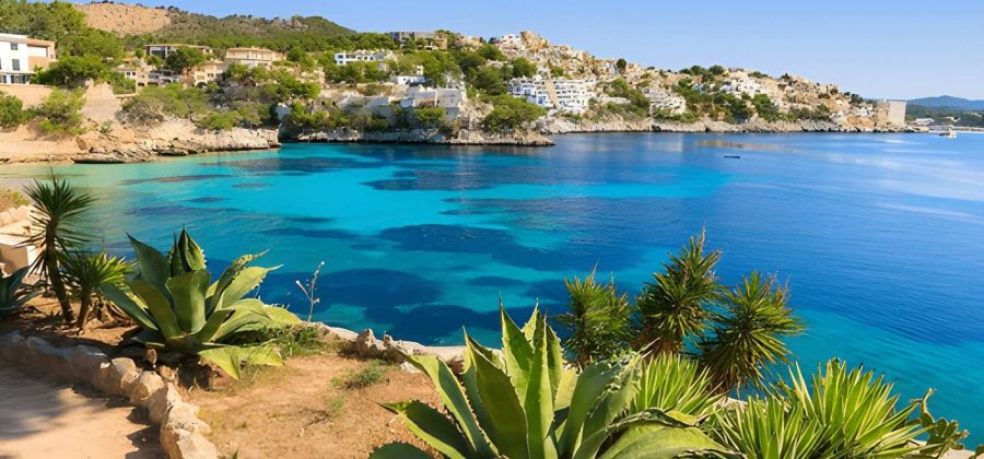 Mallorca Holiday