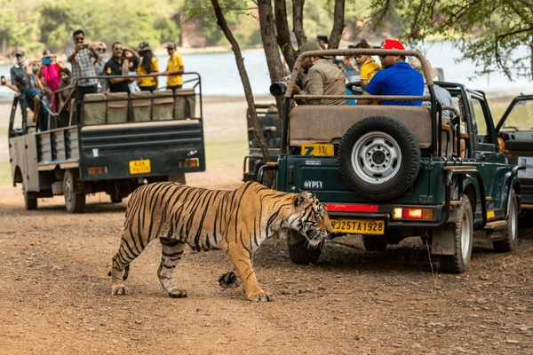 Ranthambore Holiday