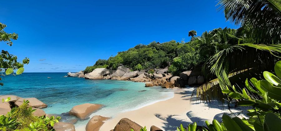 10-Night Dubai & Seychelles Escape: Arabian Luxury Meets Island Paradise