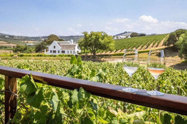 Stellenbosch