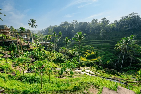 Ubud
