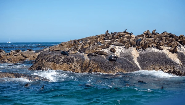 Cape Town Holiday