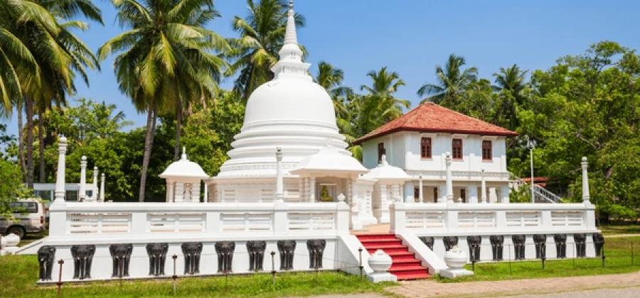 Sri Lanka Wildlife