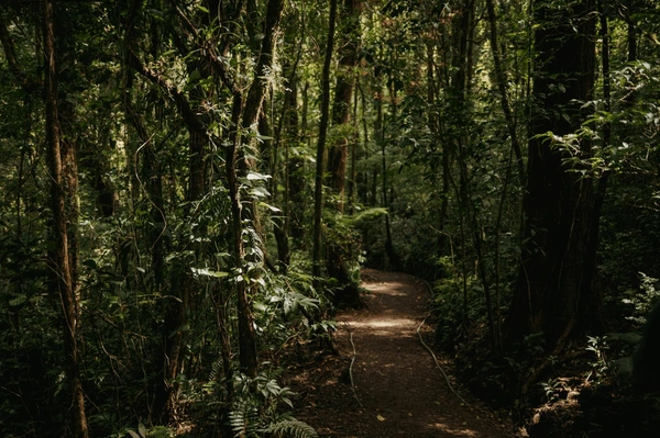 Monteverde