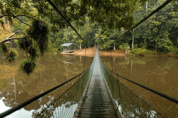 Kinabatangan