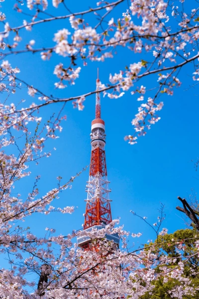 tokyo holidays