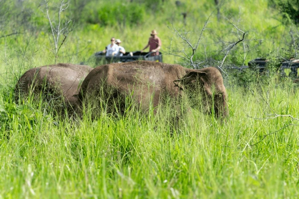 Sri Lanka Holidays