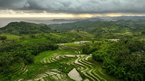 Ubud