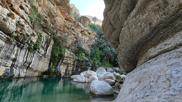 Muscat Holiday