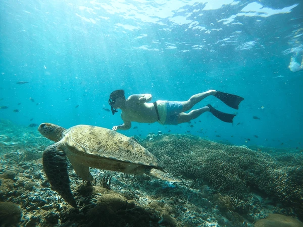 Gili Holiday