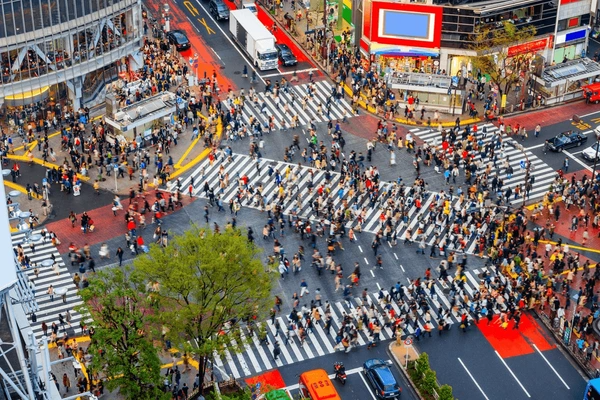 Tokyo Holiday