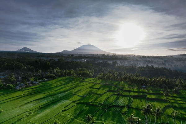 Ubud