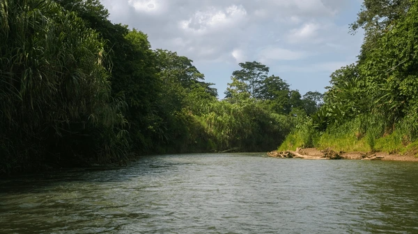 arenal