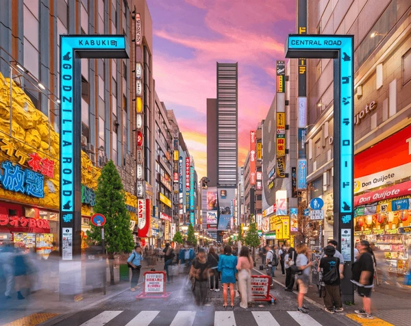Tokyo Holiday