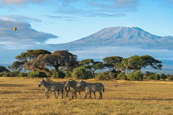 Kenya & Tanzania