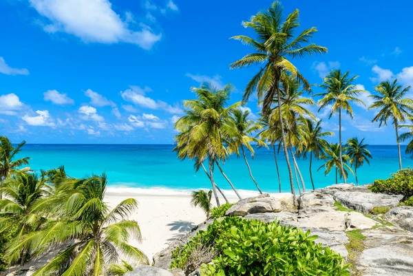 Barbados & The Grenadines - 10 Nights