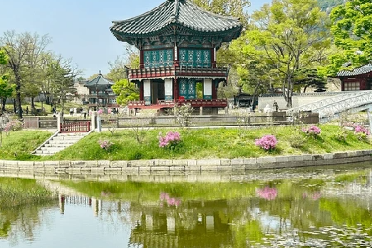 Seoul & Jeju Island Getaway: Discover South Korea – 7 Nights