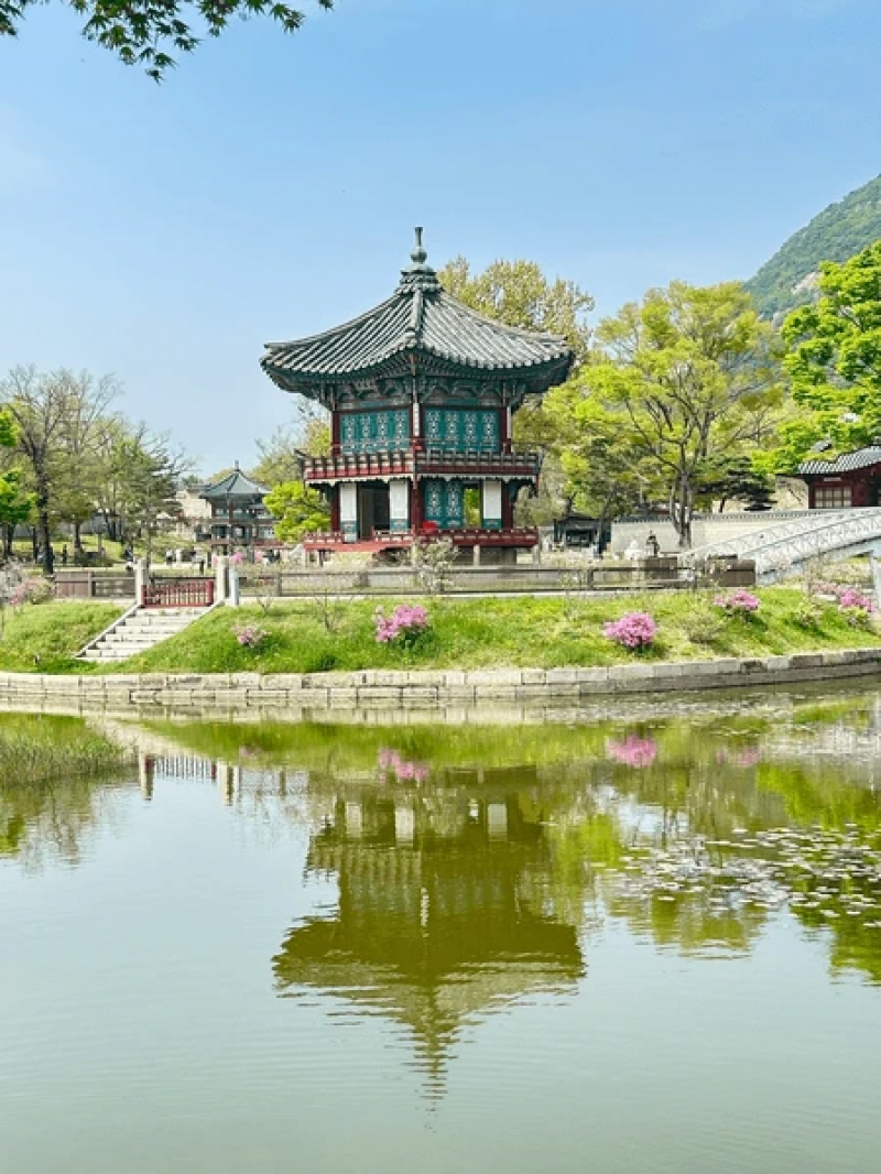Seoul & Jeju Island Getaway: Discover South Korea – 7 Nights