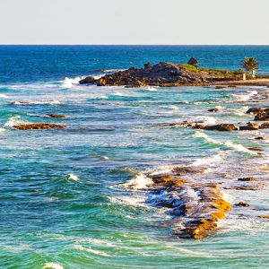 Cozumel Vacations