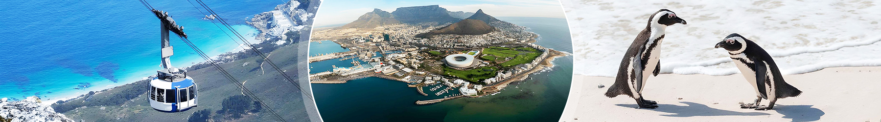 Discover Cape Town & Stellenbosch: A 7-Night South African Escape