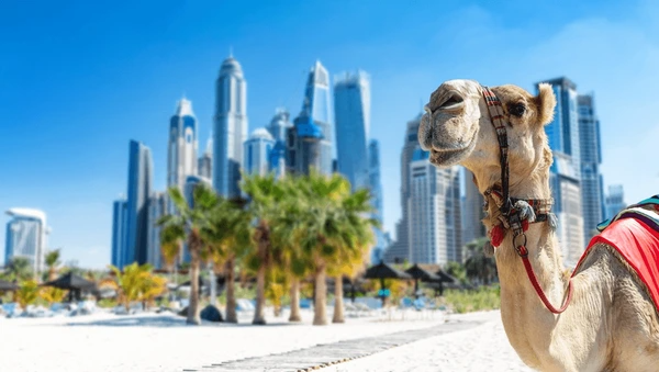 Dubai & Zanzibar Holidays