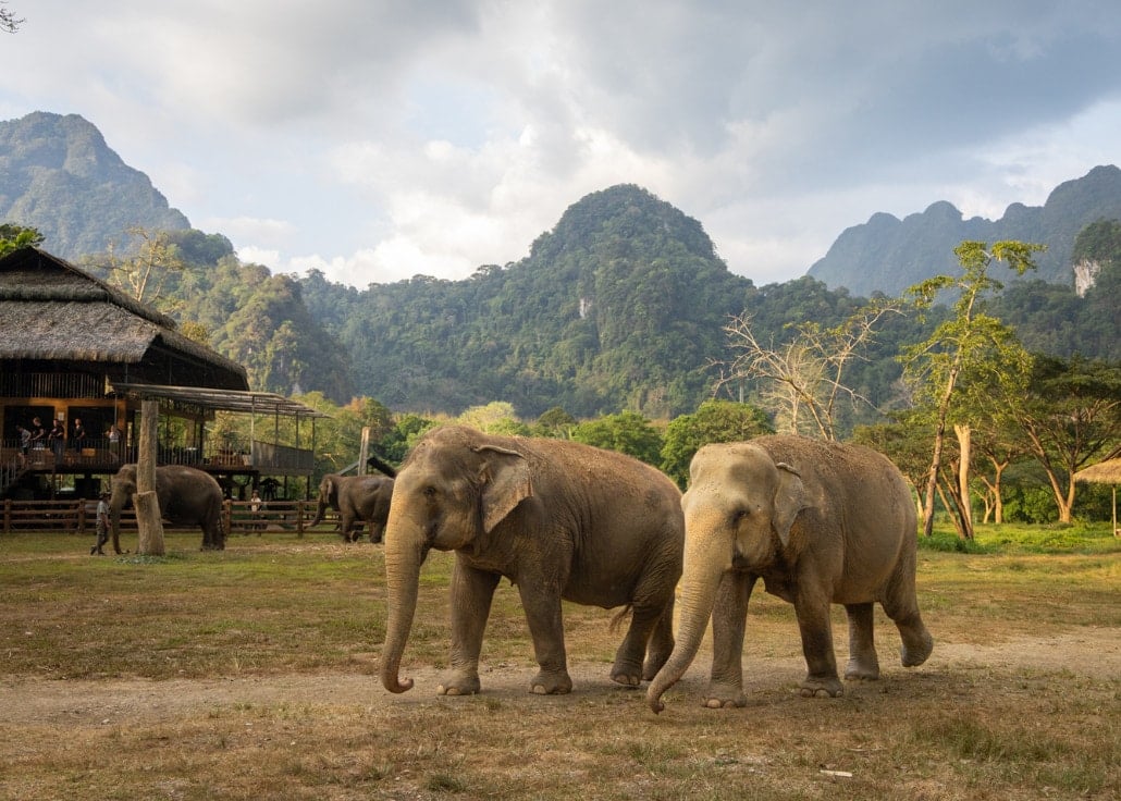 Elephant Hills