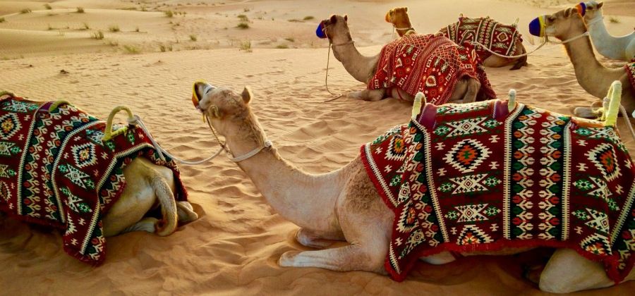 10 Nights Dubai Maldives