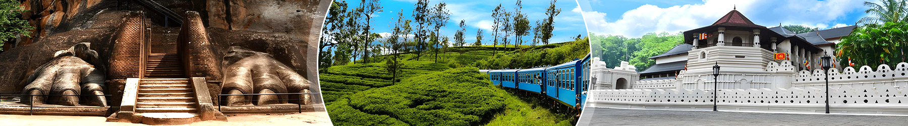 Sri Lanka Experience: Historic Marvels & Tropical Shores – 7 Nights