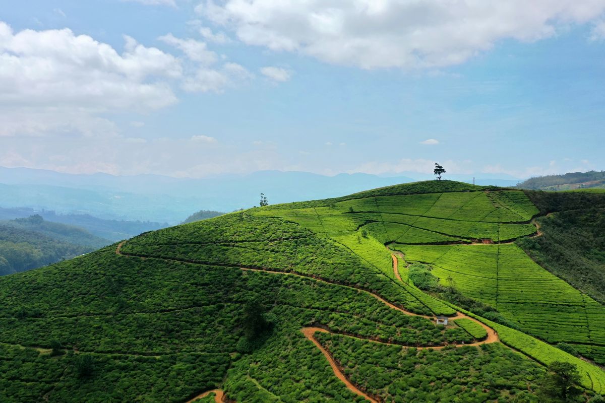 Sri Lanka in Style: An 11-Night Luxury