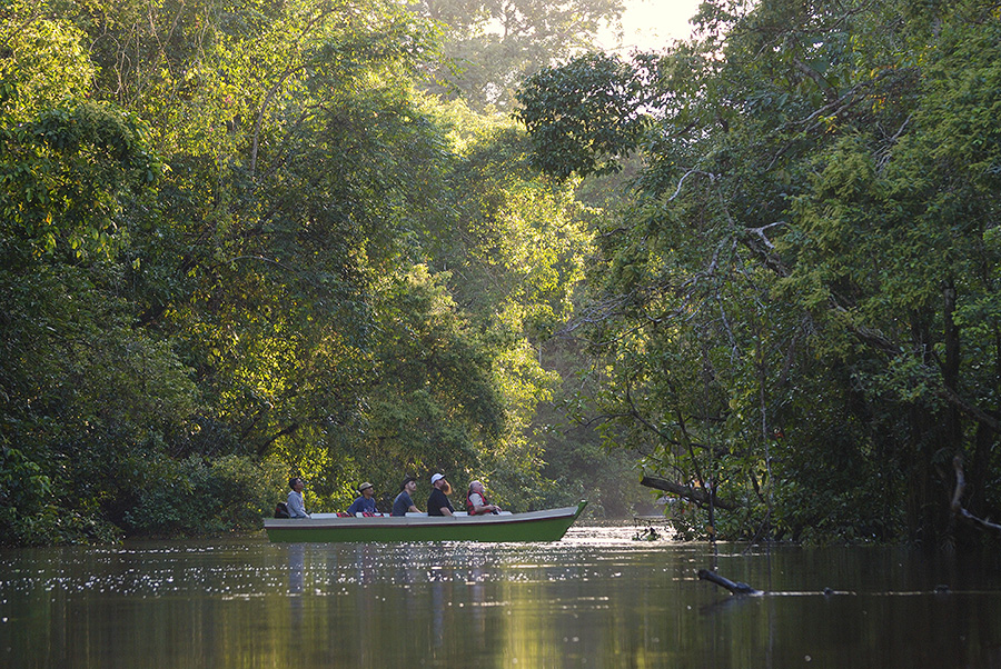 Kinabatangan
