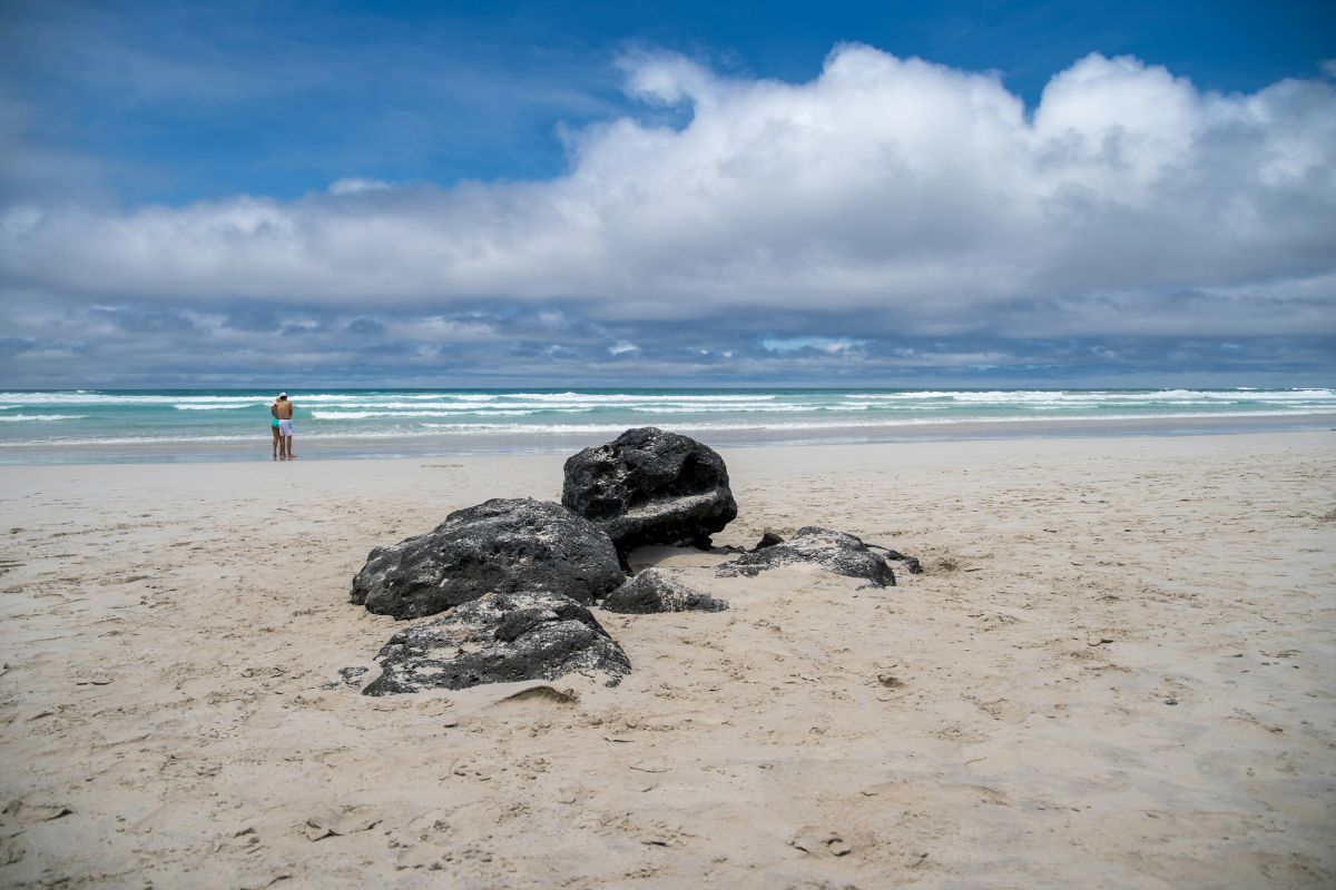 Ecuador & Galapagos: 12 Nights
