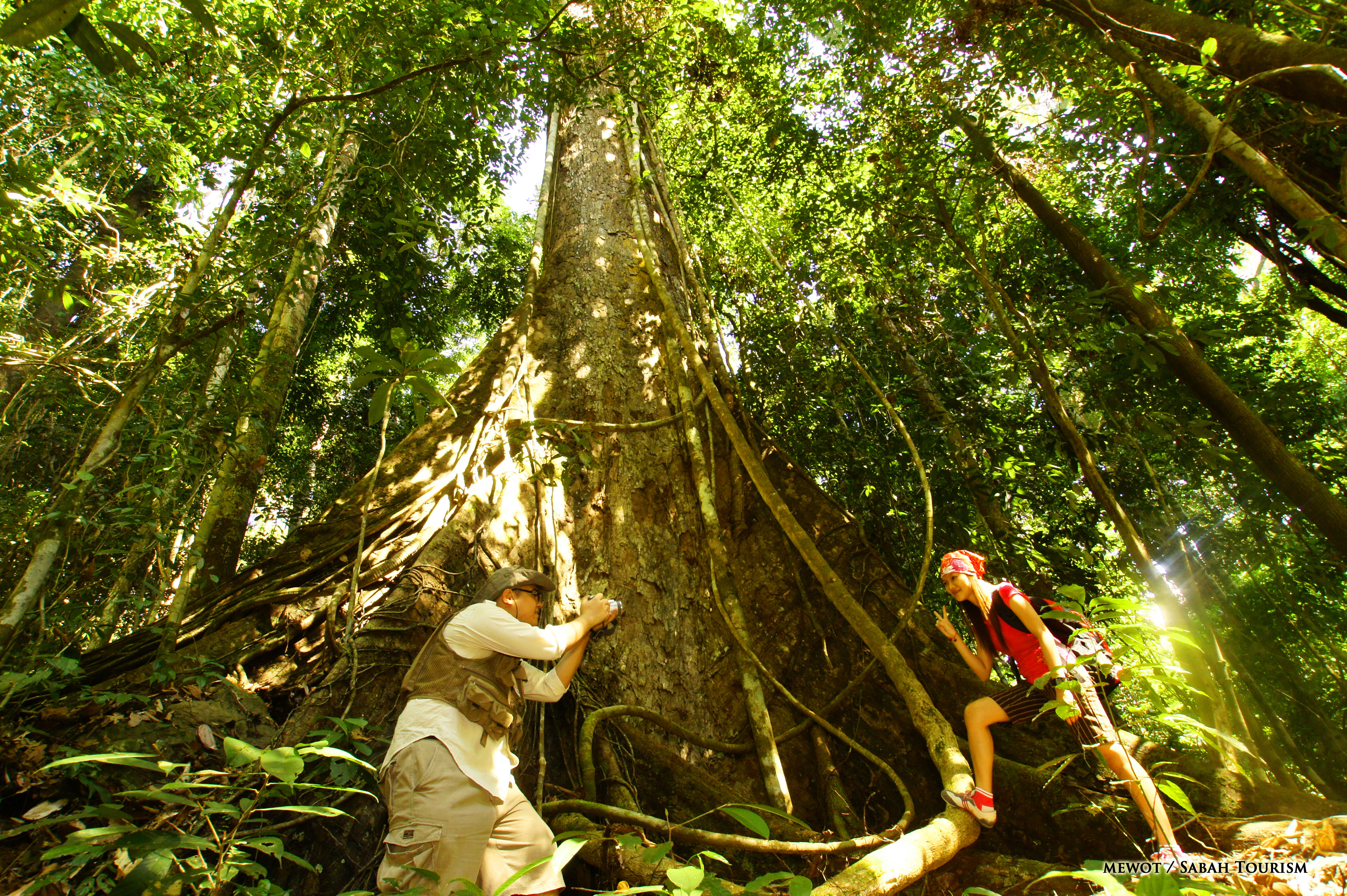 Borneo Holiday