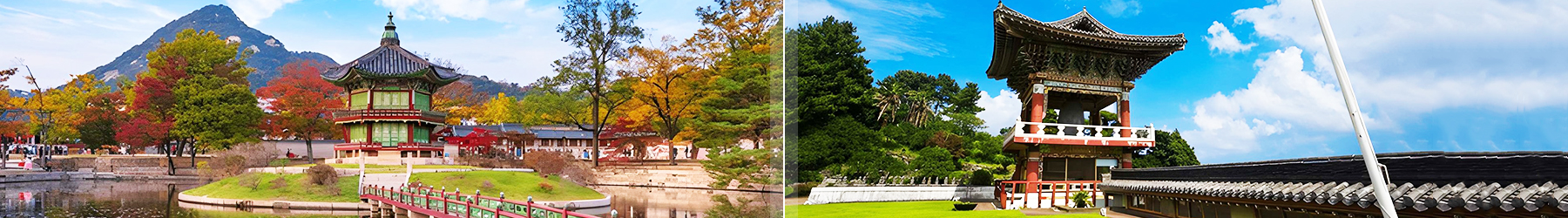Seoul & Jeju Island Getaway: Discover South Korea – 7 Nights
