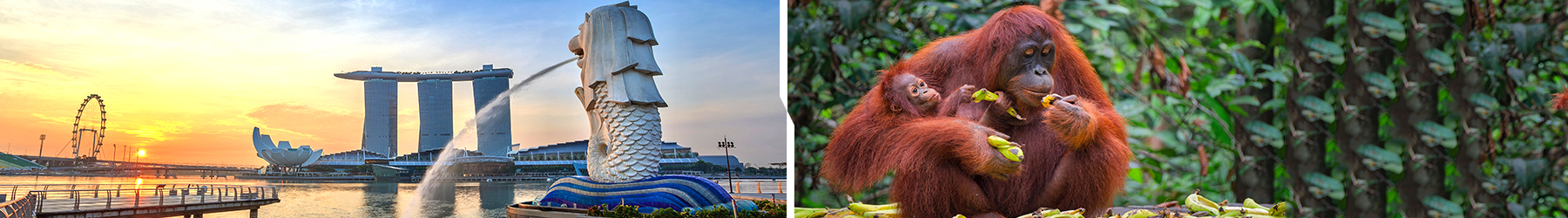 Contrasts of Asia: 8 Nights of Singapore & Borneo Experience