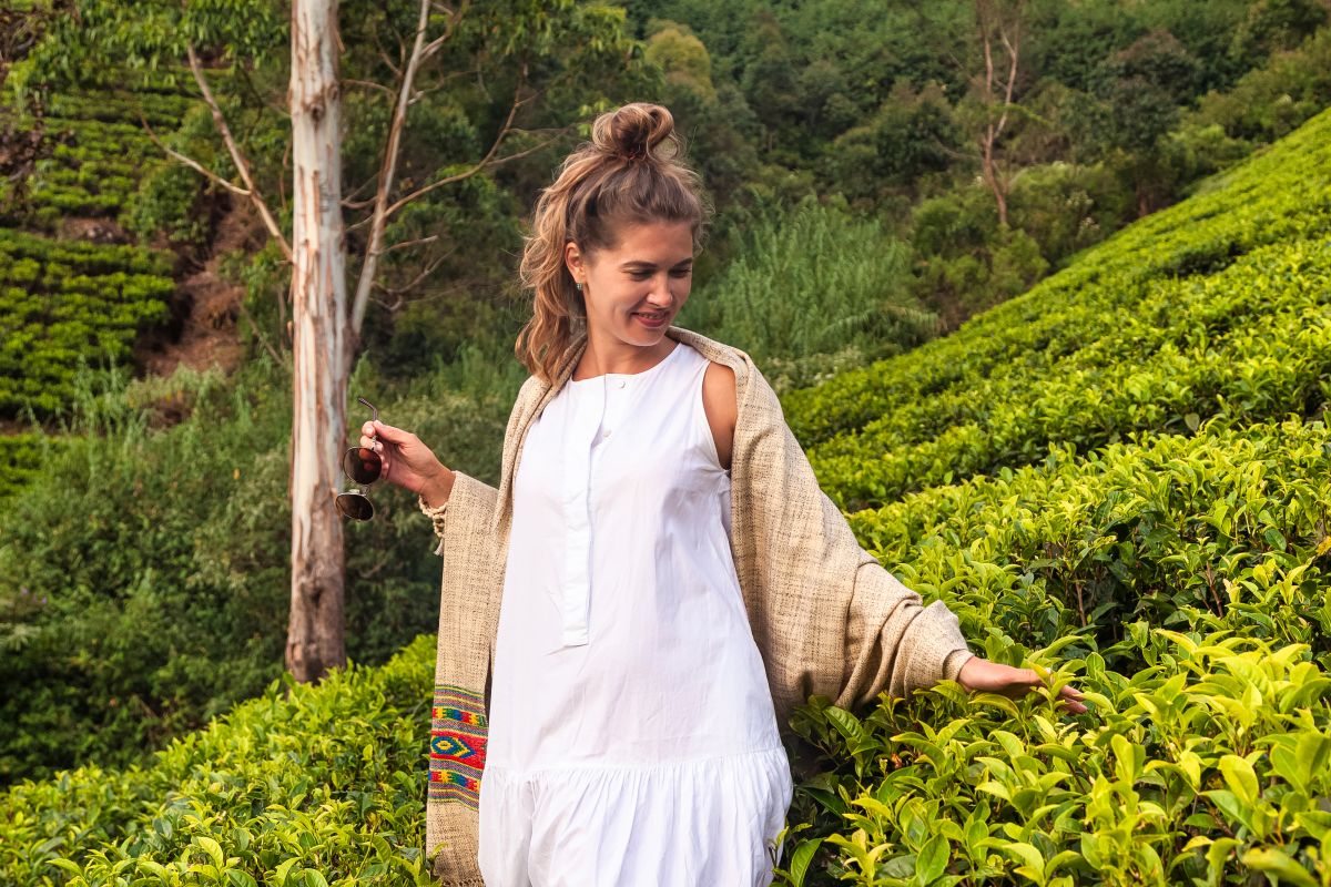 Sri Lanka Tea Trails: Ceylon Tea & Colonial Charm – 6 Nights