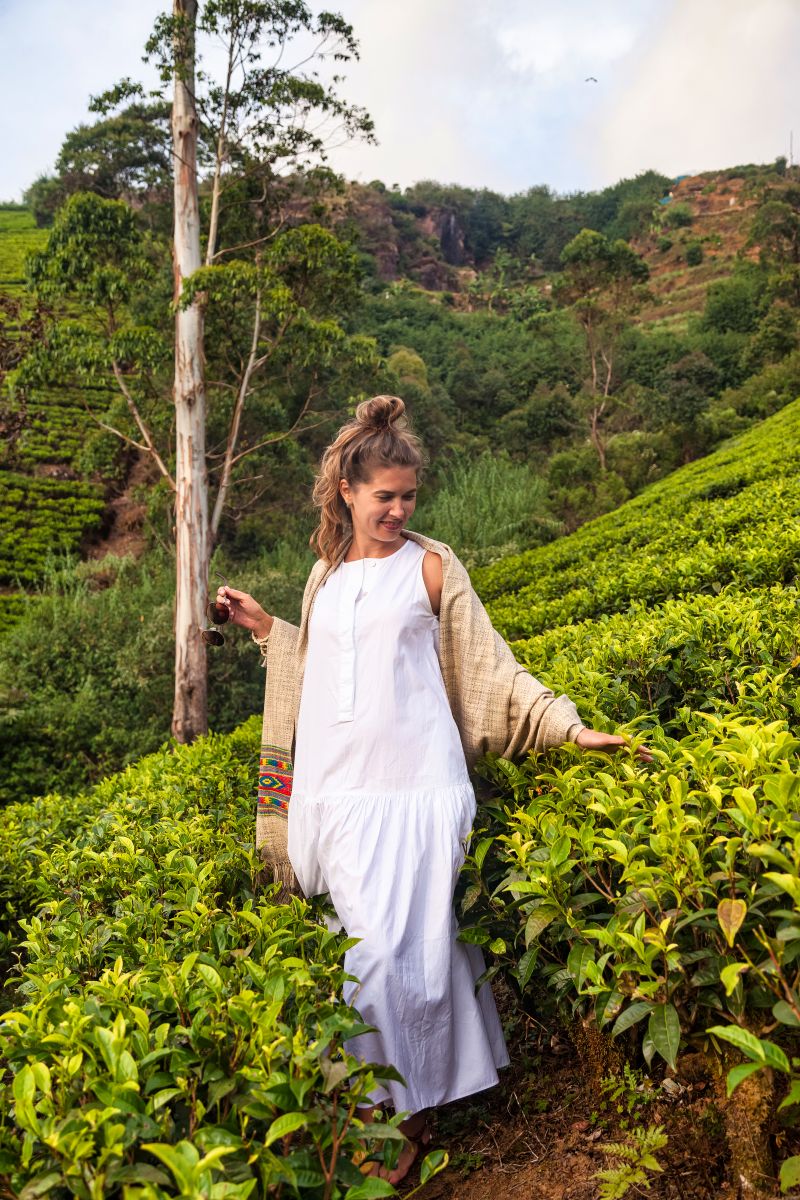 Sri Lanka Tea Trails: Ceylon Tea & Colonial Charm – 6 Nights