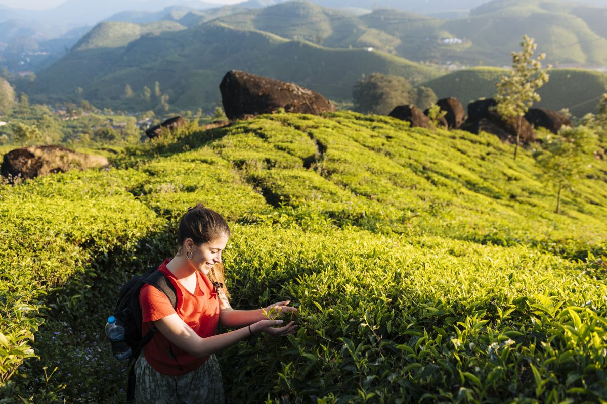 Sri Lanka Tea Trails: Ceylon Tea & Colonial Charm – 6 Nights