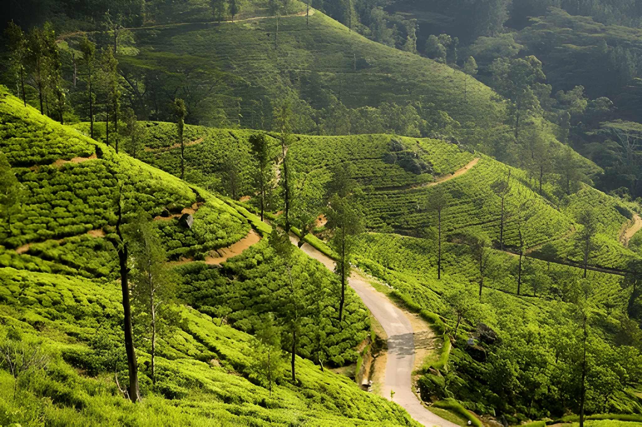 North & East Sri Lanka – 12 Nights