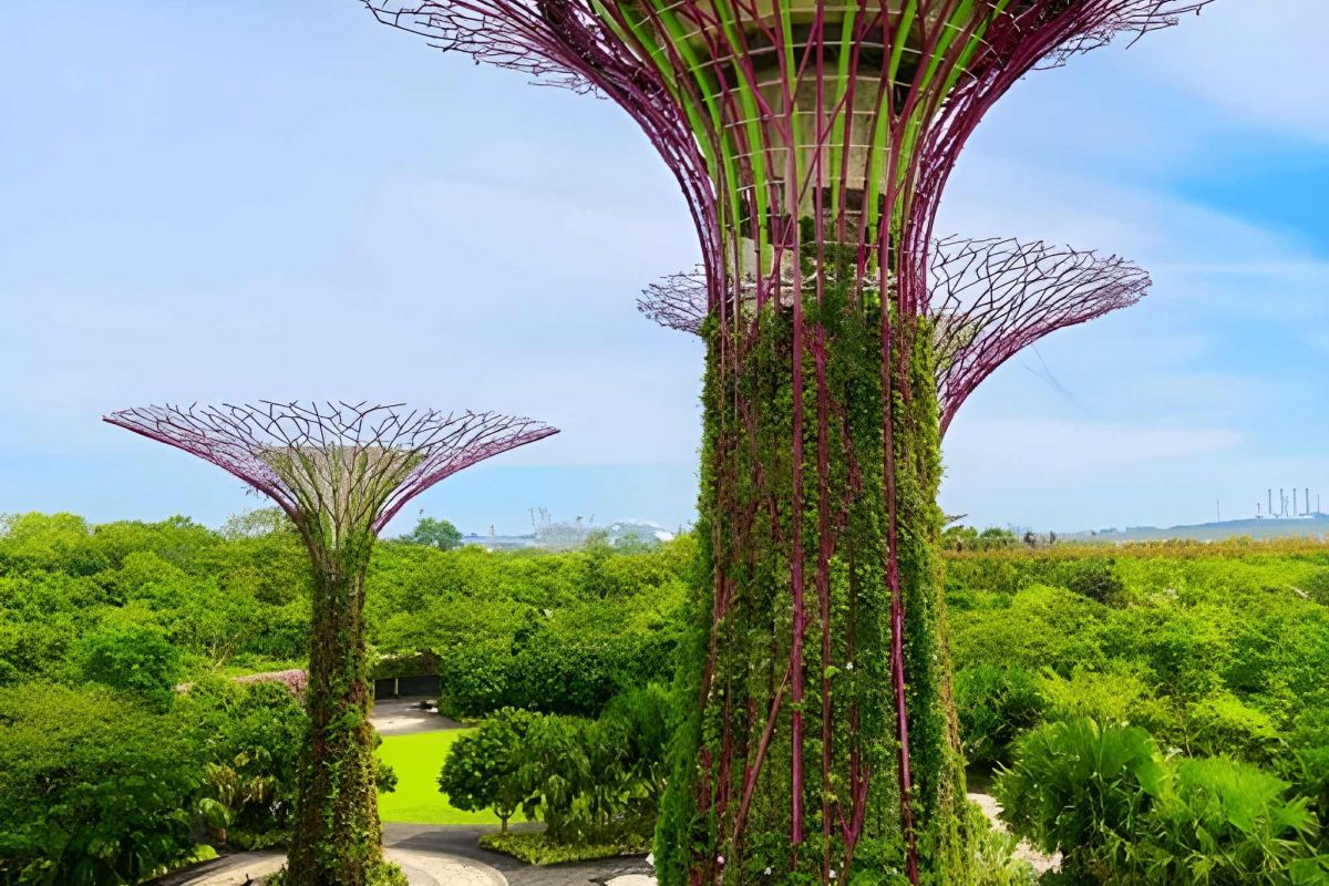 Singapore Holiday