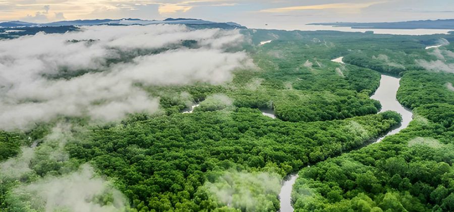 Kinabatangan
